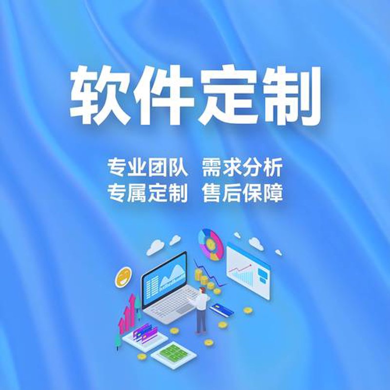 软件定制开发：打造精准解决方案